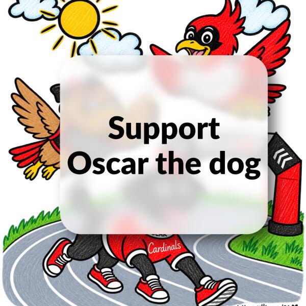 Donation for Oscar the dog Thumbnail